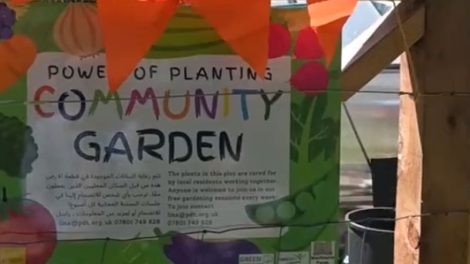 Community Gardening